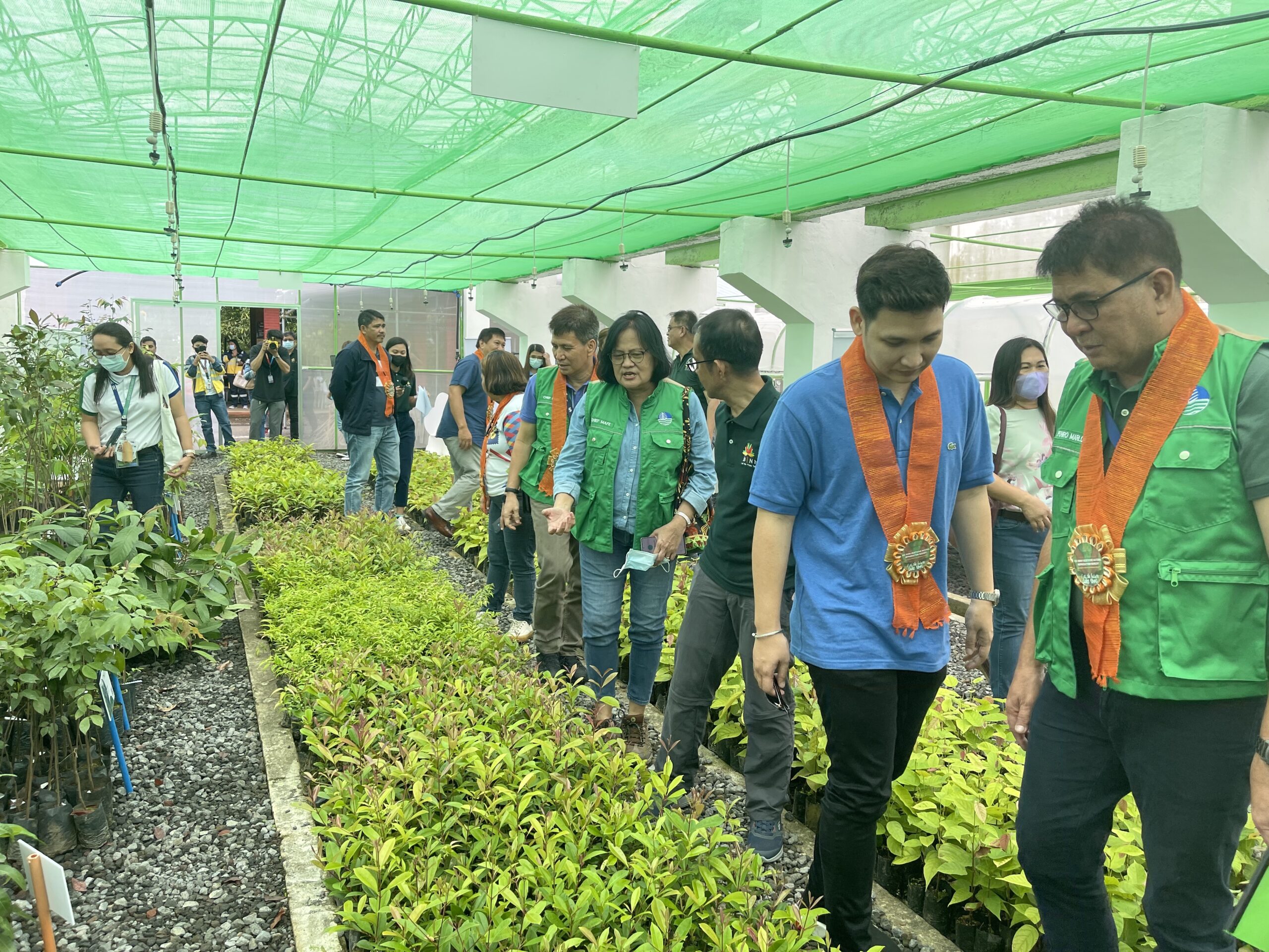 BicolDotPh | EDC Launches VMR Nursery, Brings Back Endemic Tree Species ...