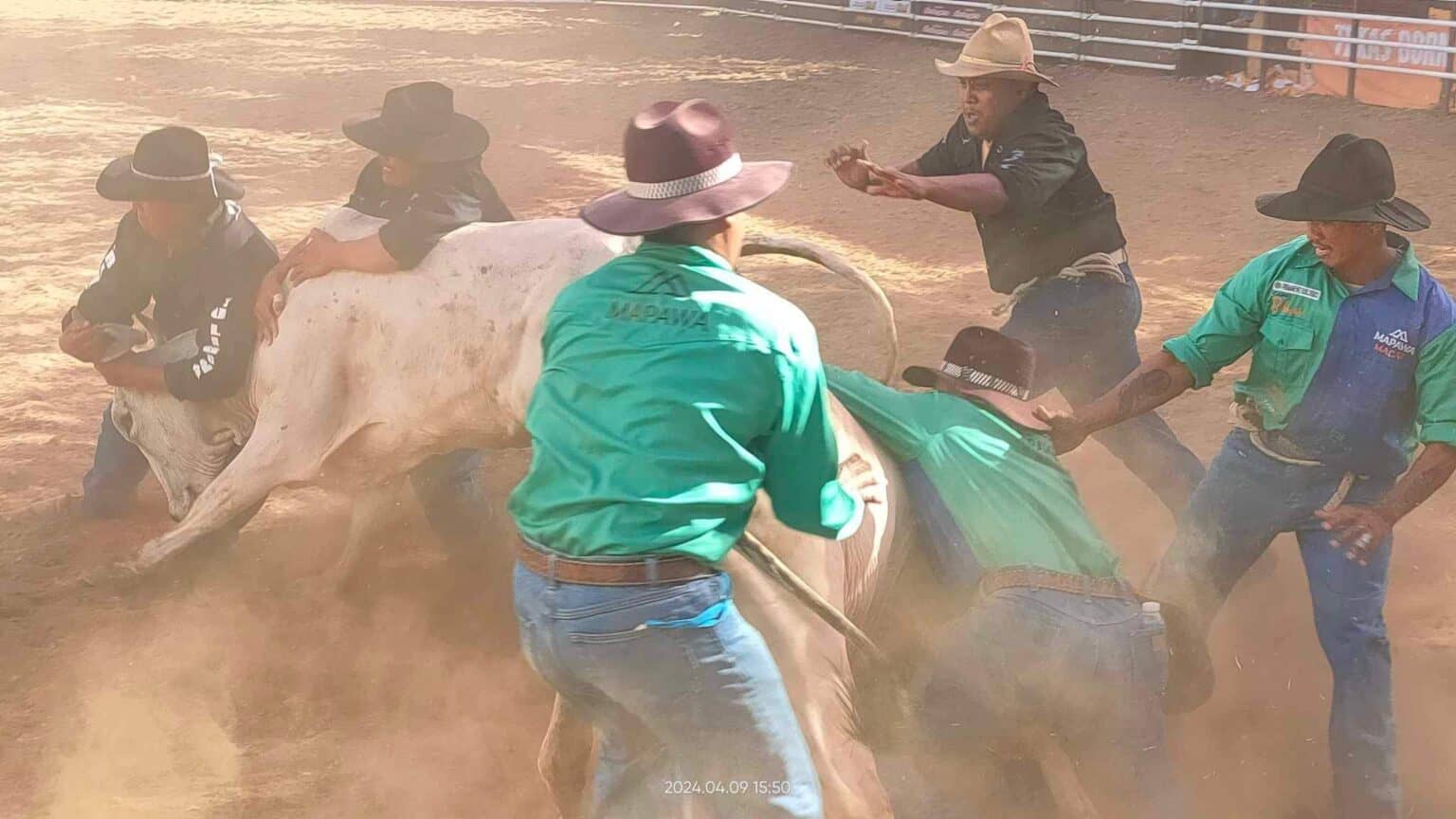 BicolDotPh | Beyond The Dust: Zooming Into Masbate’s Rodeo Festival