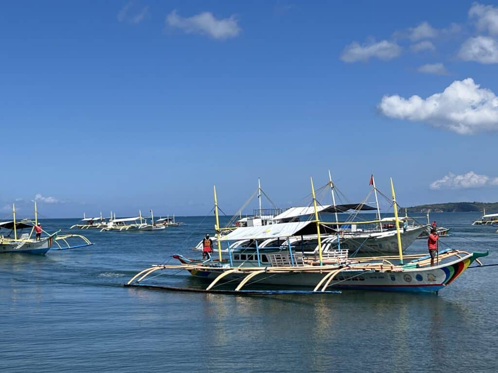 Boats used during butanding interaction in Donsol, Sorsogon