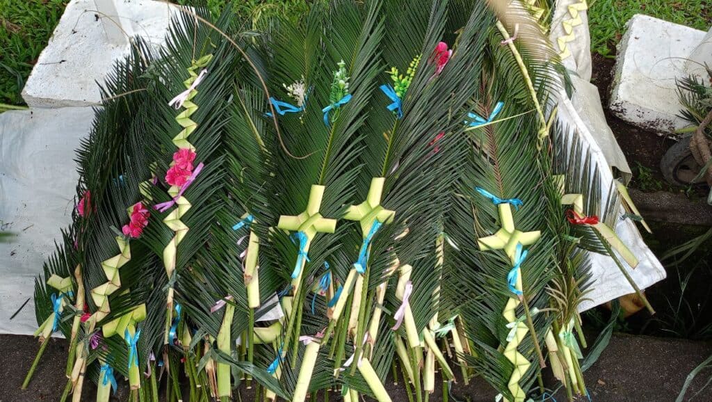 Palm Sunday: When Sacramentals Become Commercialized 2 IMG 1086