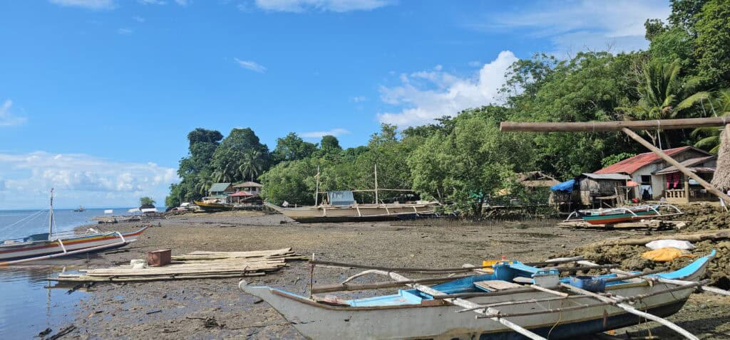 Masbate town women seek solutions as water, plastic woes strain environment 5 Mangrove area in Famosa, neighboring village of Real in Monreal. (photo by Rey Anthony Ostria, BicoldotPH)